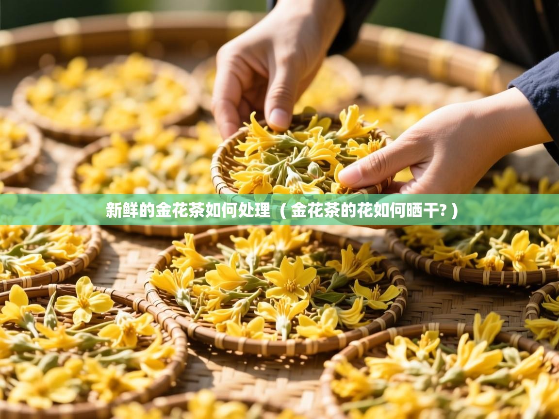  新鲜的金花茶如何处理  ( 金花茶的花如何晒干? )