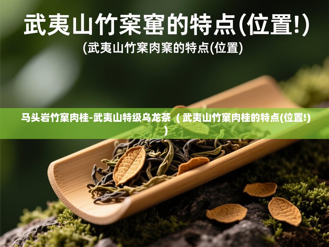  马头岩竹窠肉桂-武夷山特级乌龙茶  ( 武夷山竹窠肉桂的特点(位置!) )