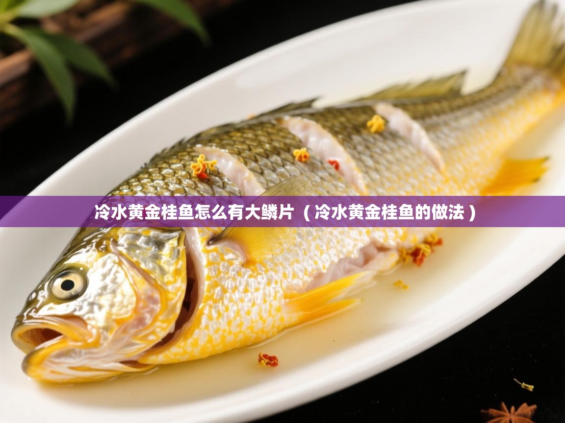  冷水黄金桂鱼怎么有大鳞片  ( 冷水黄金桂鱼的做法 )