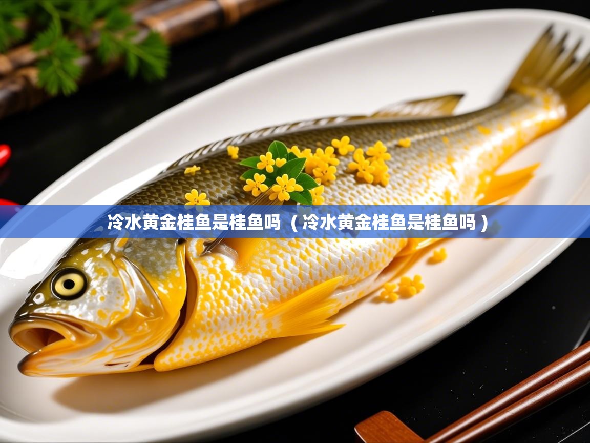  冷水黄金桂鱼是桂鱼吗  ( 冷水黄金桂鱼是桂鱼吗 )