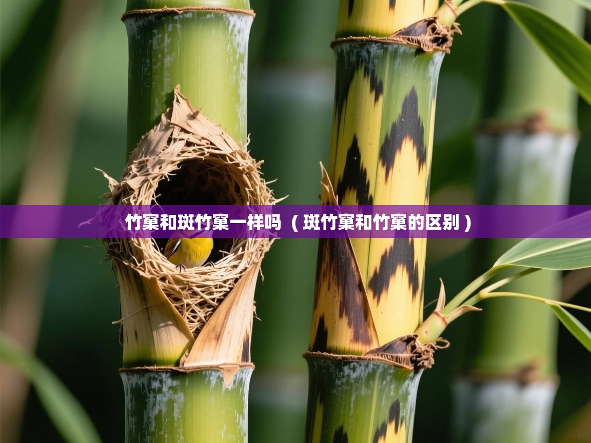  竹窠和斑竹窠一样吗  ( 斑竹窠和竹窠的区别 )