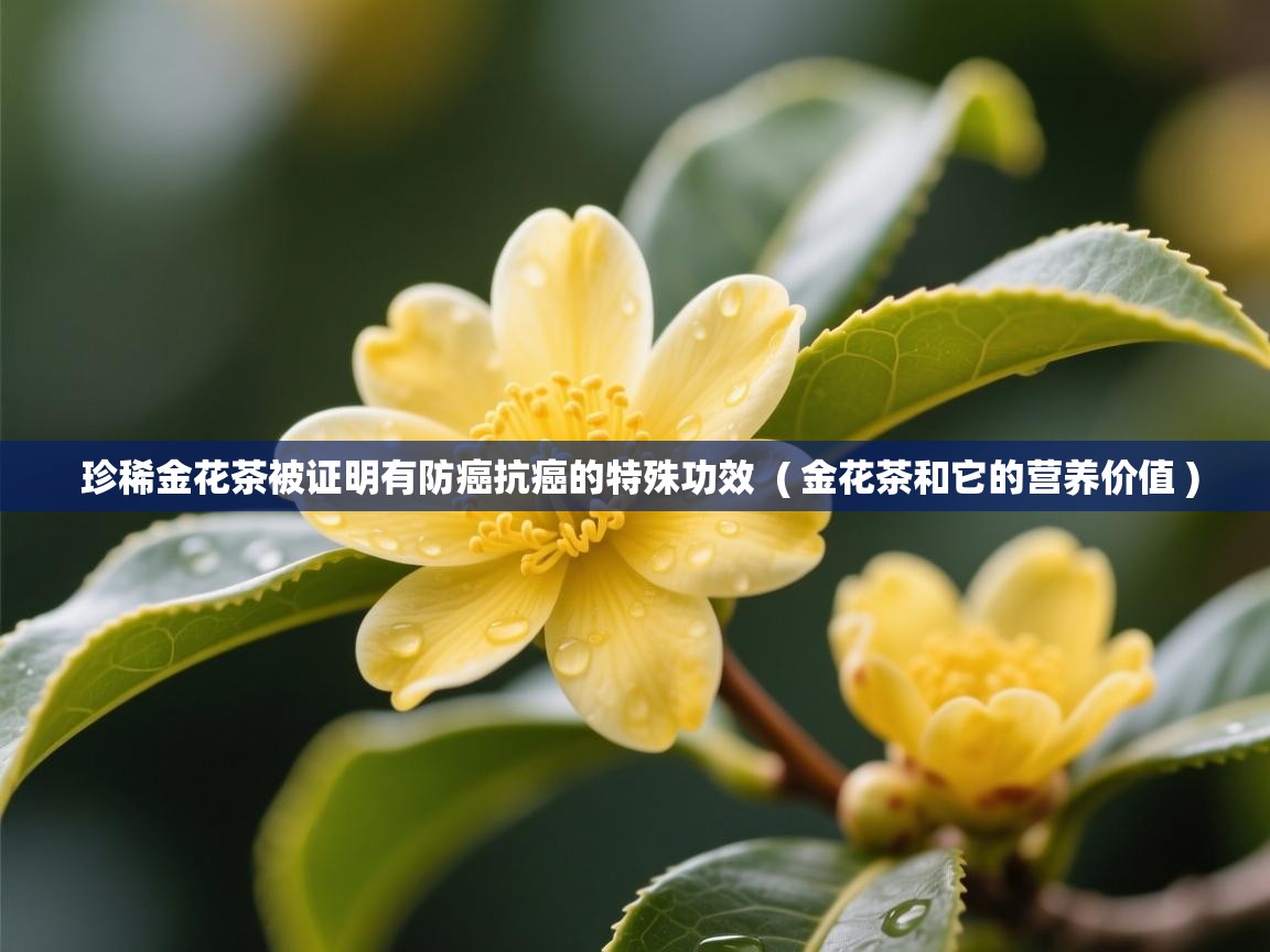  珍稀金花茶被证明有防癌抗癌的特殊功效  ( 金花茶和它的营养价值 )