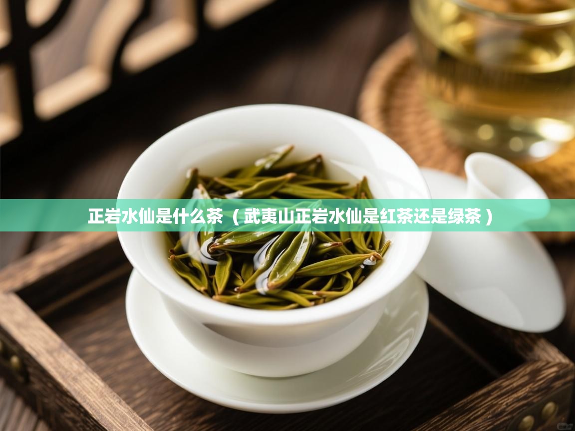  正岩水仙是什么茶  ( 武夷山正岩水仙是红茶还是绿茶 )