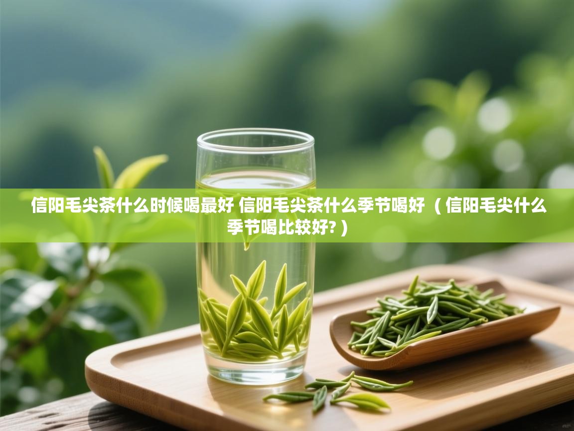  信阳毛尖茶什么时候喝最好 信阳毛尖茶什么季节喝好  ( 信阳毛尖什么季节喝比较好? )