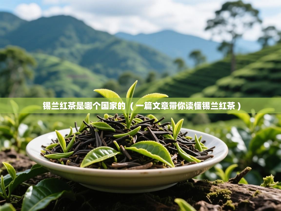  锡兰红茶是哪个国家的  ( 一篇文章带你读懂锡兰红茶 )