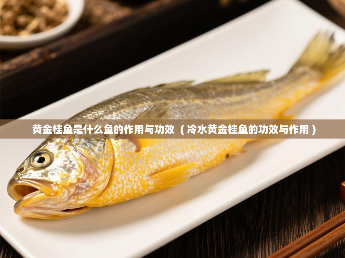  黄金桂鱼是什么鱼的作用与功效  ( 冷水黄金桂鱼的功效与作用 )