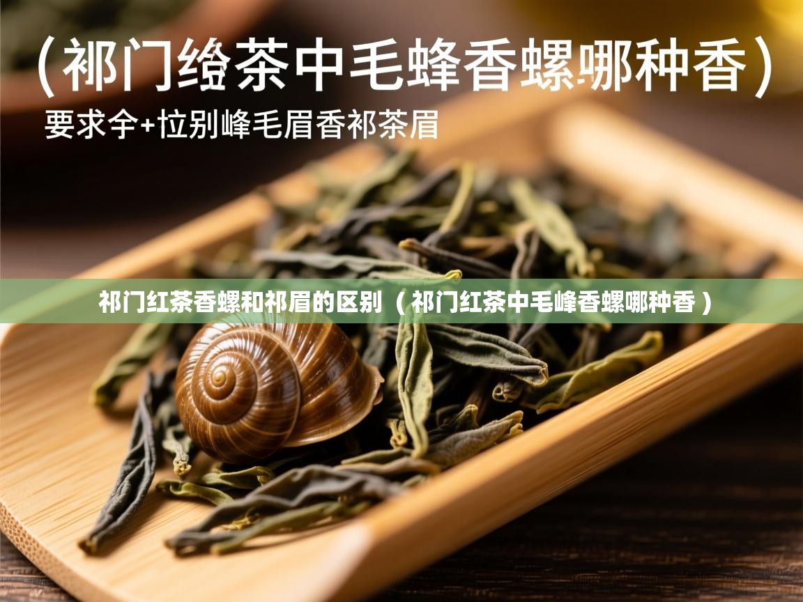  祁门红茶香螺和祁眉的区别  ( 祁门红茶中毛峰香螺哪种香 )