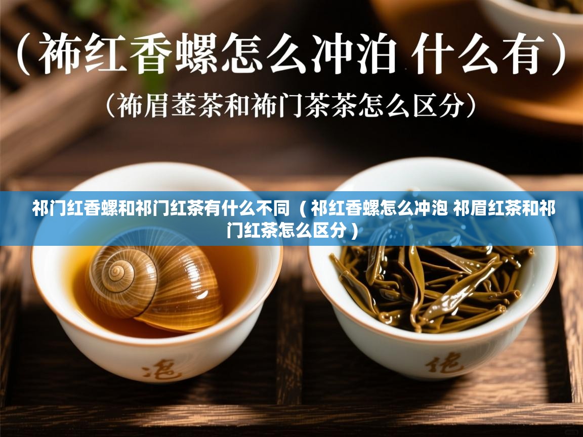  祁门红香螺和祁门红茶有什么不同  ( 祁红香螺怎么冲泡 祁眉红茶和祁门红茶怎么区分 )