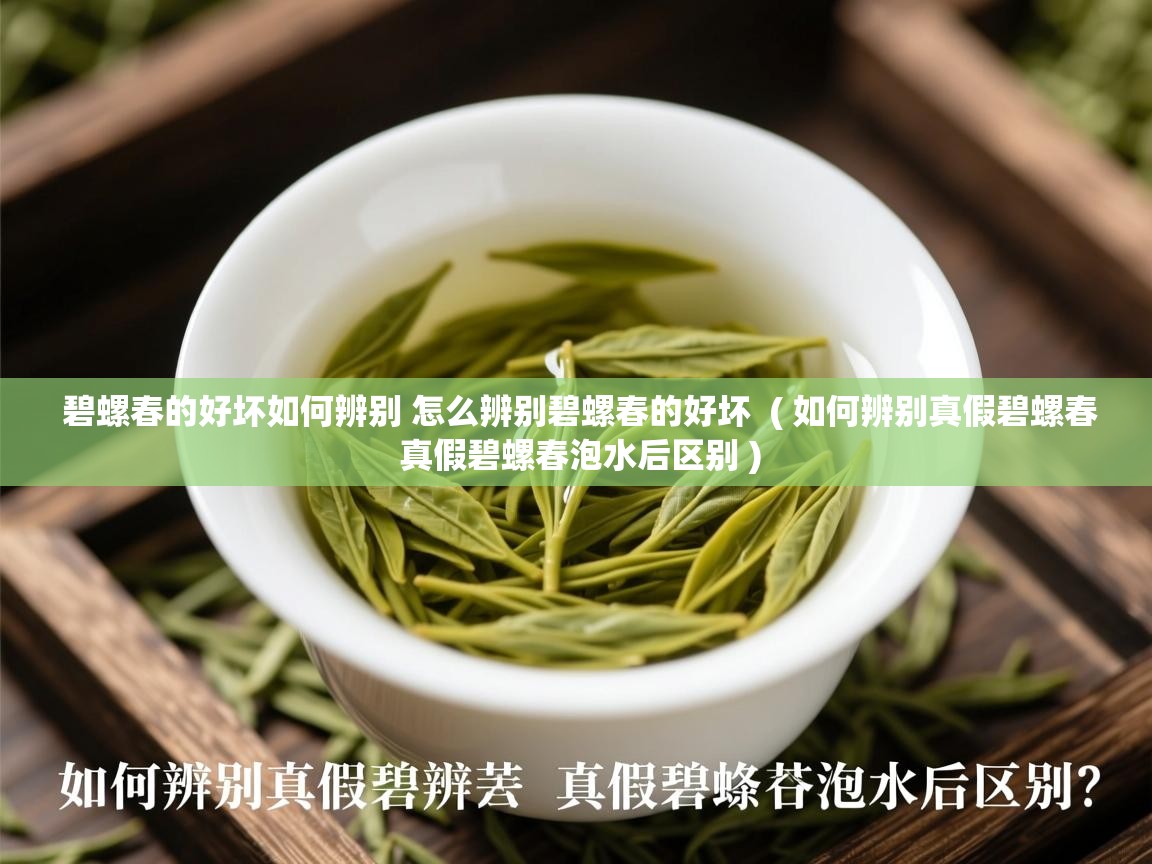  碧螺春的好坏如何辨别 怎么辨别碧螺春的好坏  ( 如何辨别真假碧螺春 真假碧螺春泡水后区别 )