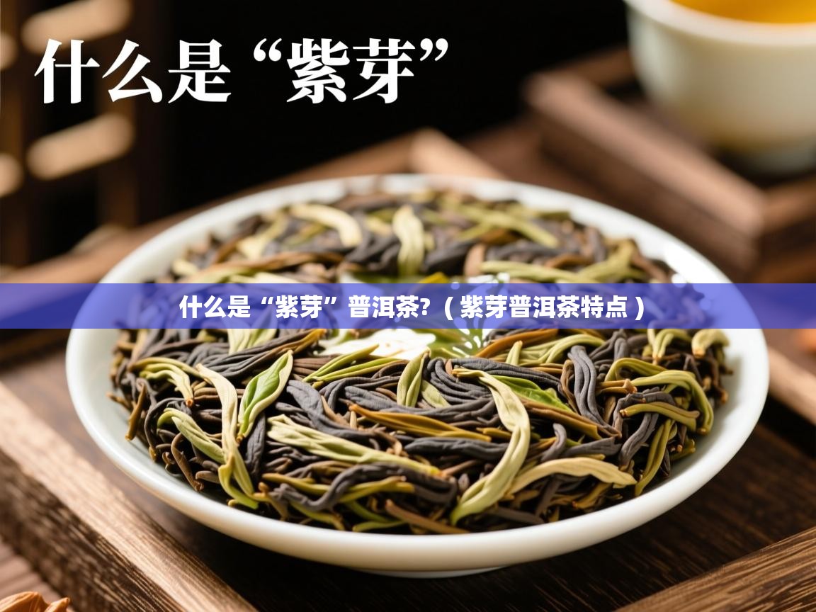  什么是“紫芽”普洱茶?  ( 紫芽普洱茶特点 )
