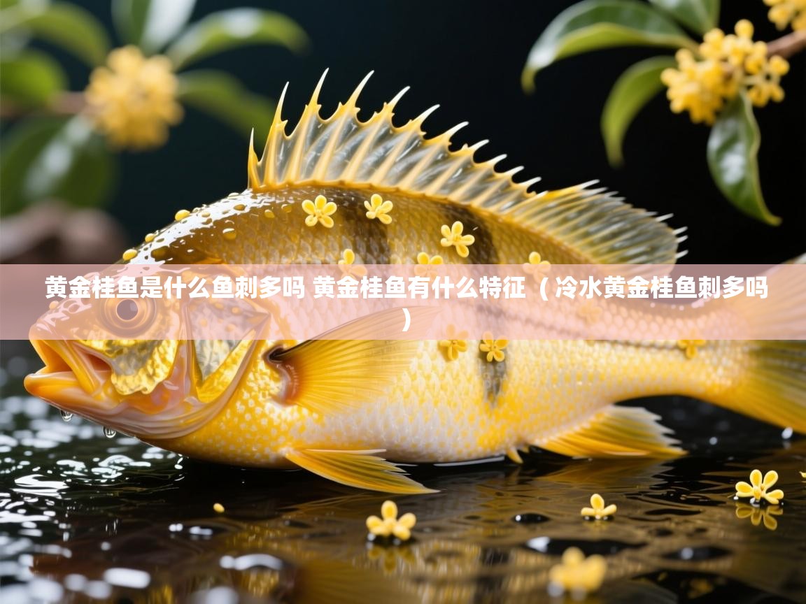  黄金桂鱼是什么鱼刺多吗 黄金桂鱼有什么特征  ( 冷水黄金桂鱼刺多吗 )