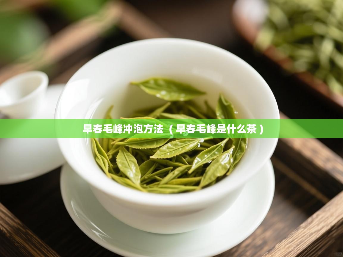  早春毛峰冲泡方法  ( 早春毛峰是什么茶 )
