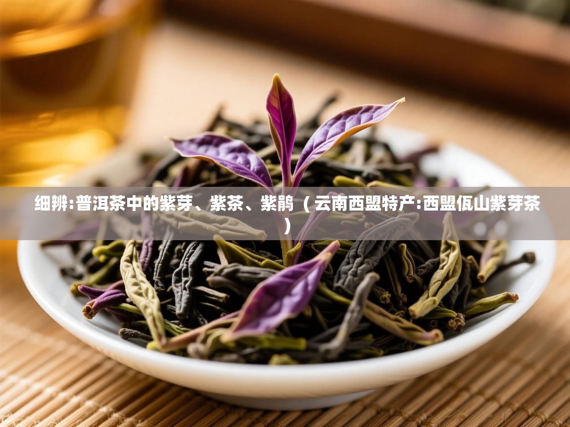  细辨:普洱茶中的紫芽、紫茶、紫鹃  ( 云南西盟特产:西盟佤山紫芽茶 )