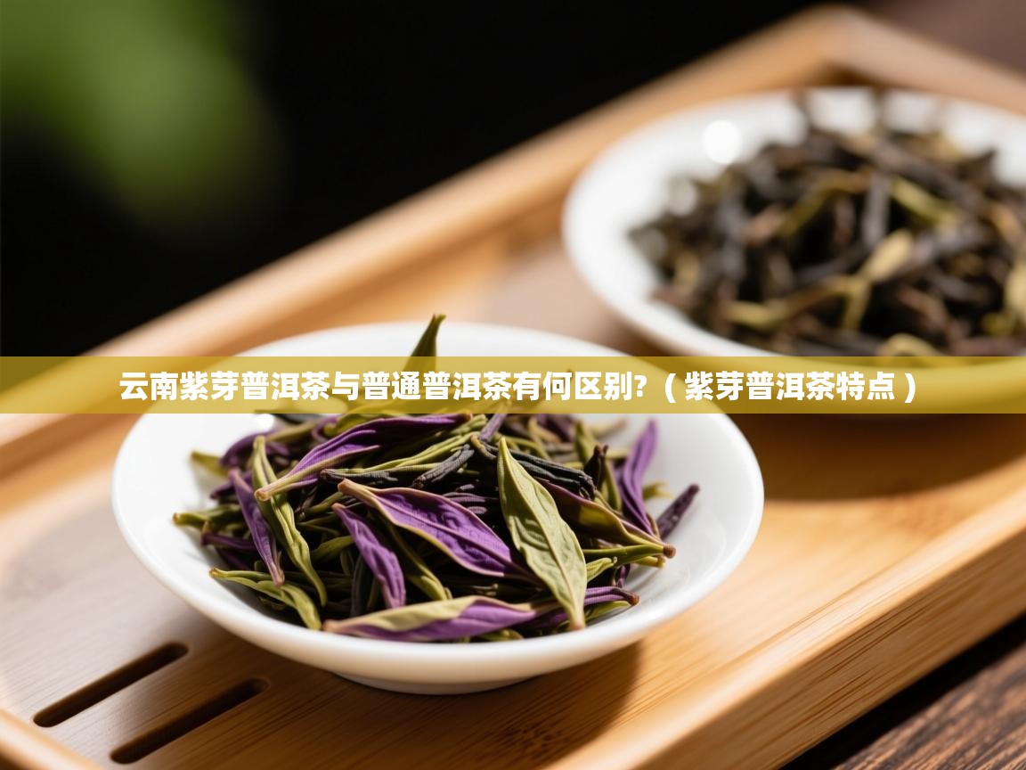  云南紫芽普洱茶与普通普洱茶有何区别?  ( 紫芽普洱茶特点 )