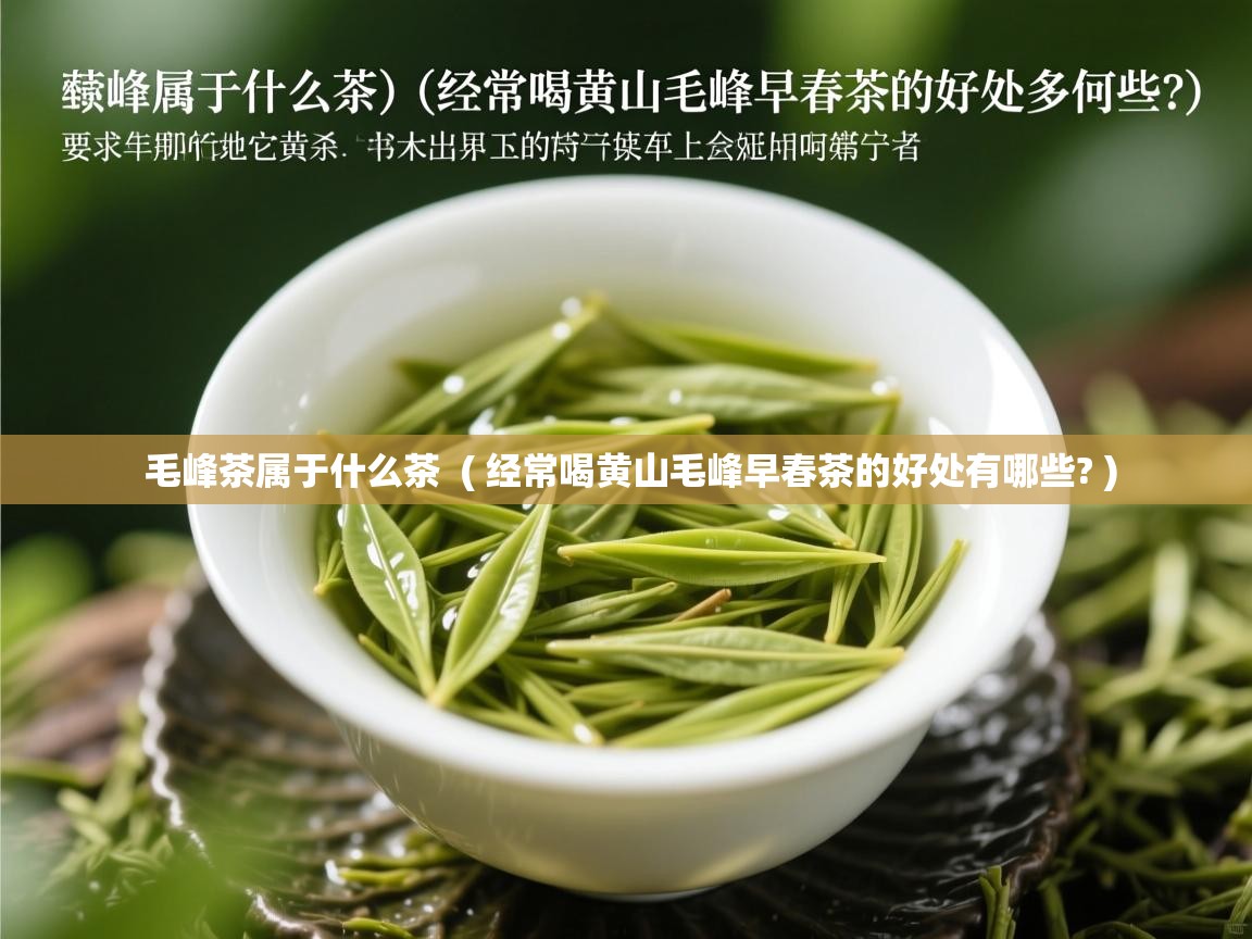  毛峰茶属于什么茶  ( 经常喝黄山毛峰早春茶的好处有哪些? )