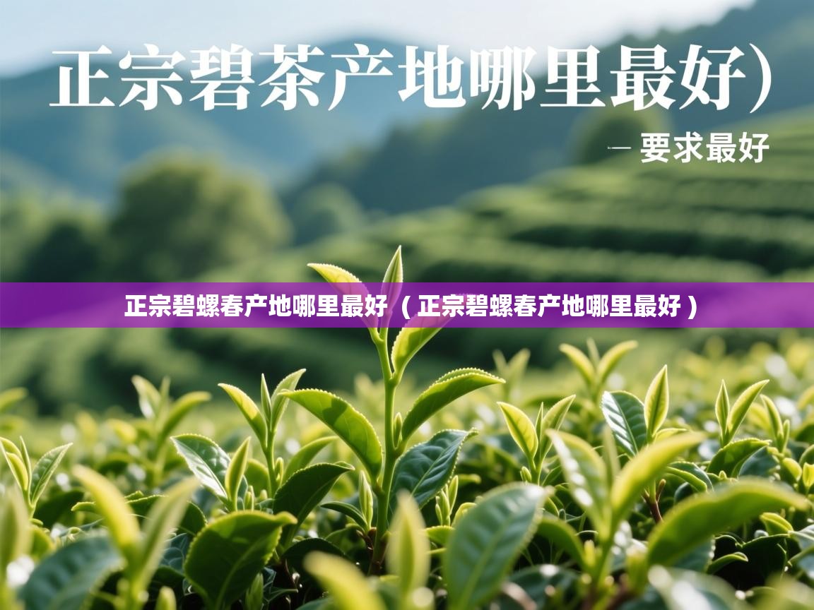  正宗碧螺春产地哪里最好  ( 正宗碧螺春产地哪里最好 )