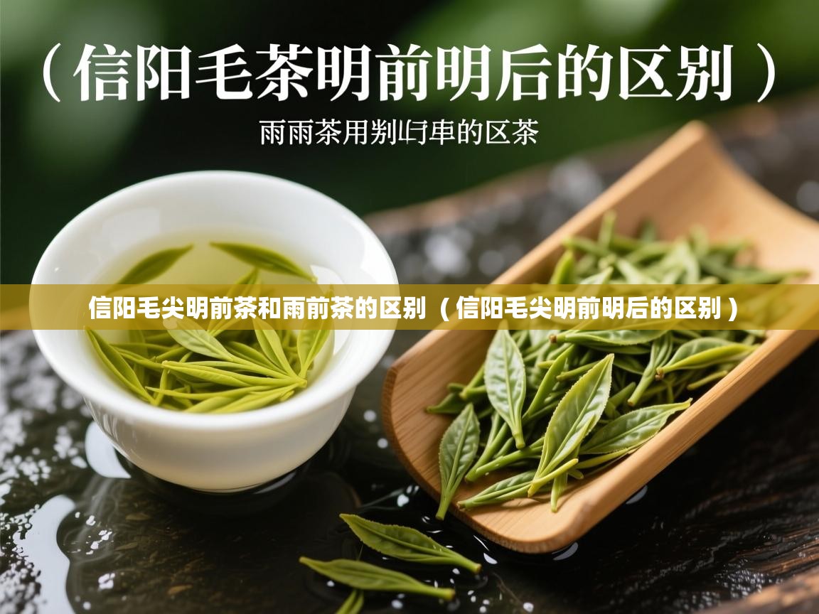  信阳毛尖明前茶和雨前茶的区别  ( 信阳毛尖明前明后的区别 )