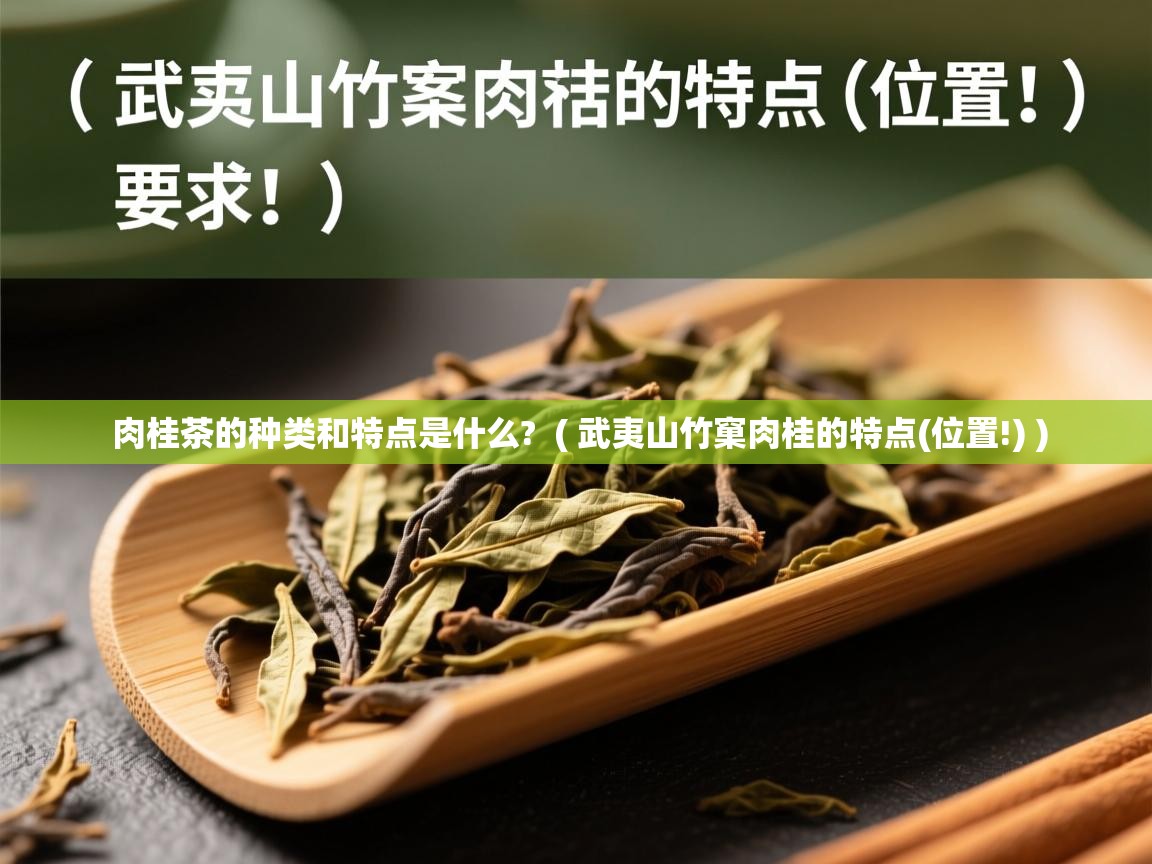  肉桂茶的种类和特点是什么?  ( 武夷山竹窠肉桂的特点(位置!) )
