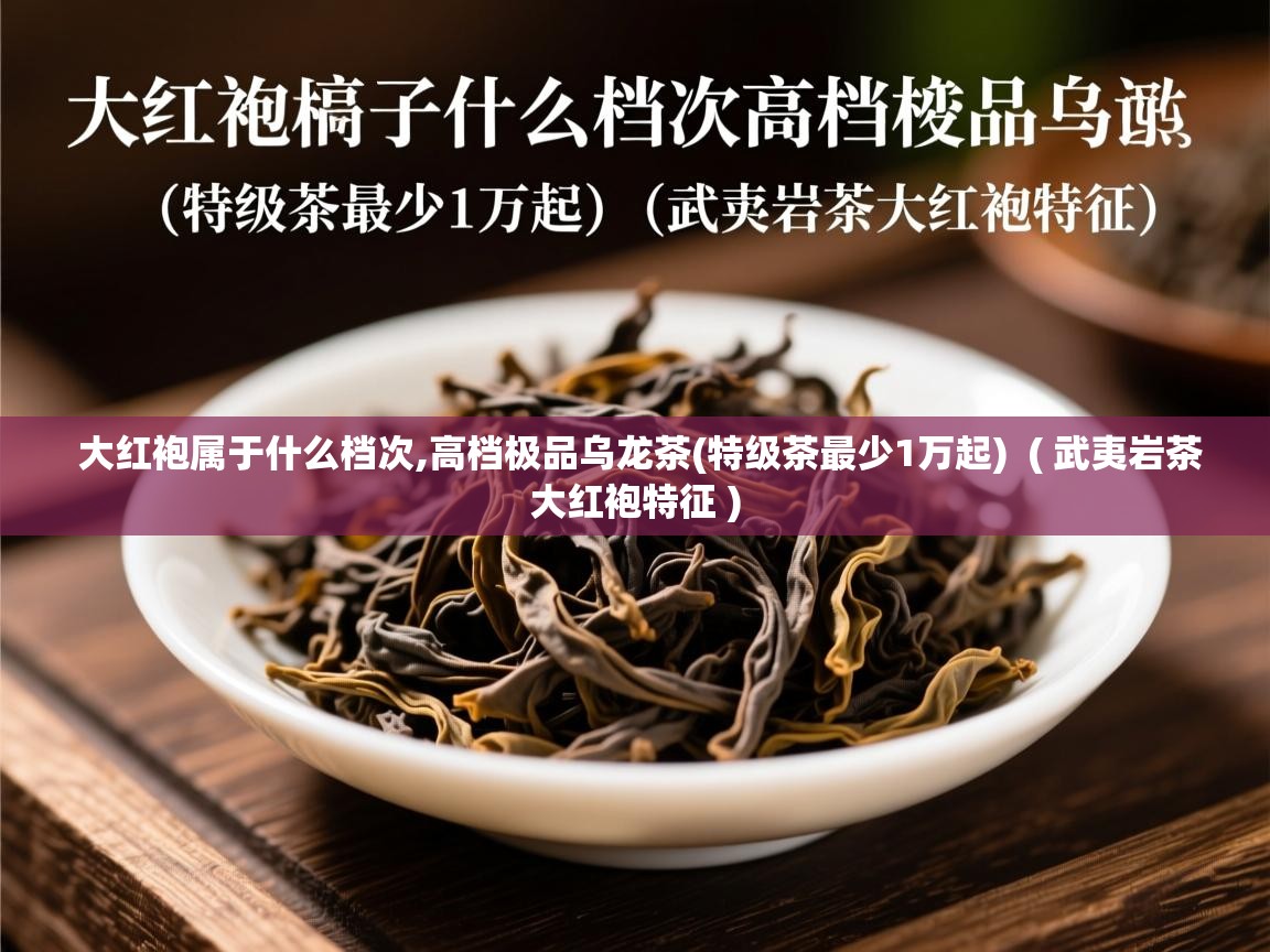  大红袍属于什么档次,高档极品乌龙茶(特级茶最少1万起)  ( 武夷岩茶大红袍特征 )