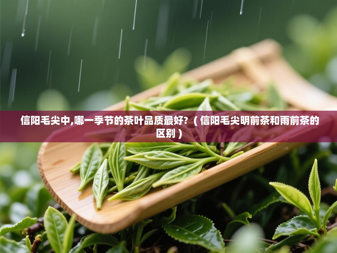  信阳毛尖中,哪一季节的茶叶品质最好?  ( 信阳毛尖明前茶和雨前茶的区别 )