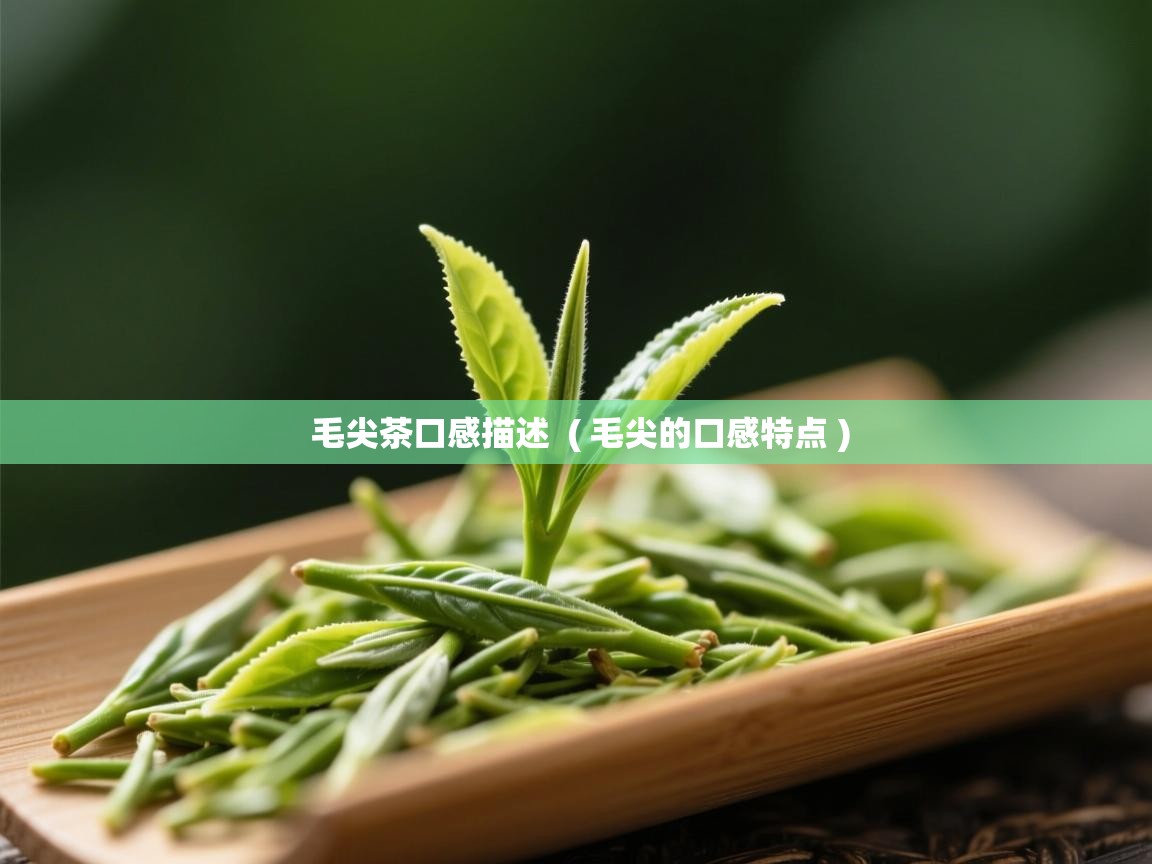  毛尖茶口感描述  ( 毛尖的口感特点 )