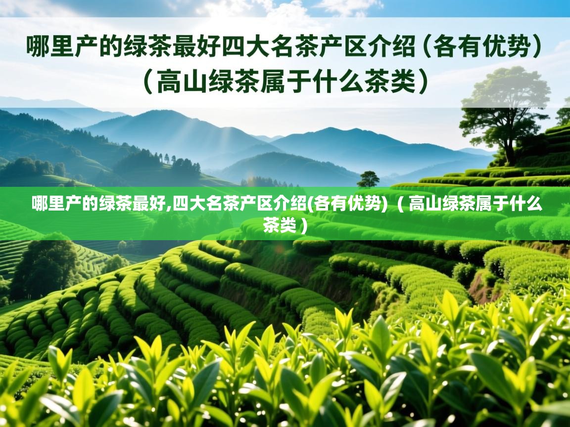  哪里产的绿茶最好,四大名茶产区介绍(各有优势)  ( 高山绿茶属于什么茶类 )