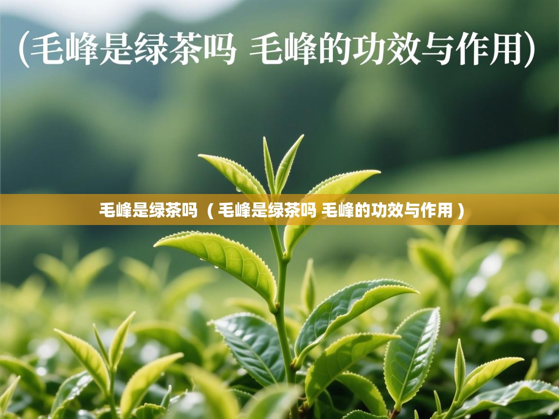  毛峰是绿茶吗  ( 毛峰是绿茶吗 毛峰的功效与作用 )