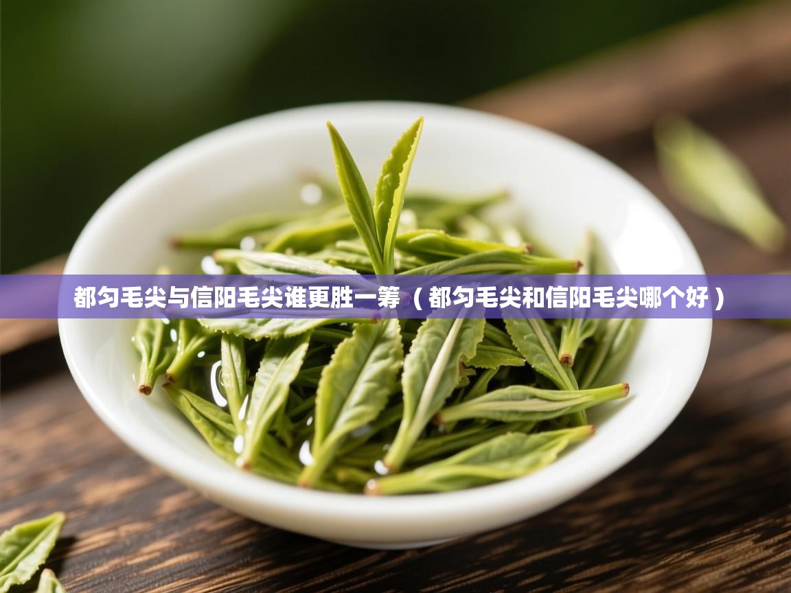  都匀毛尖与信阳毛尖谁更胜一筹  ( 都匀毛尖和信阳毛尖哪个好 )