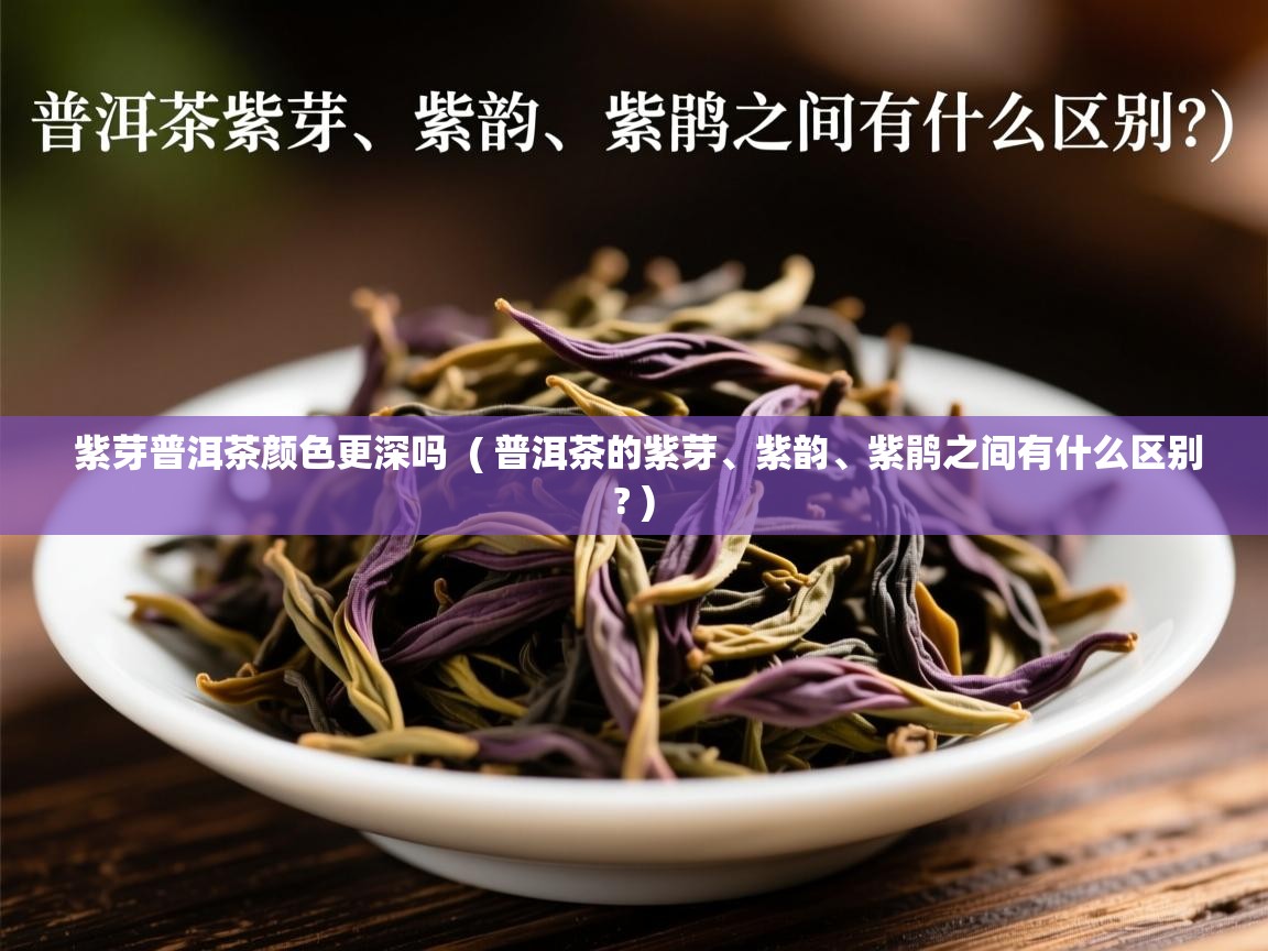  紫芽普洱茶颜色更深吗  ( 普洱茶的紫芽、紫韵、紫鹃之间有什么区别? )
