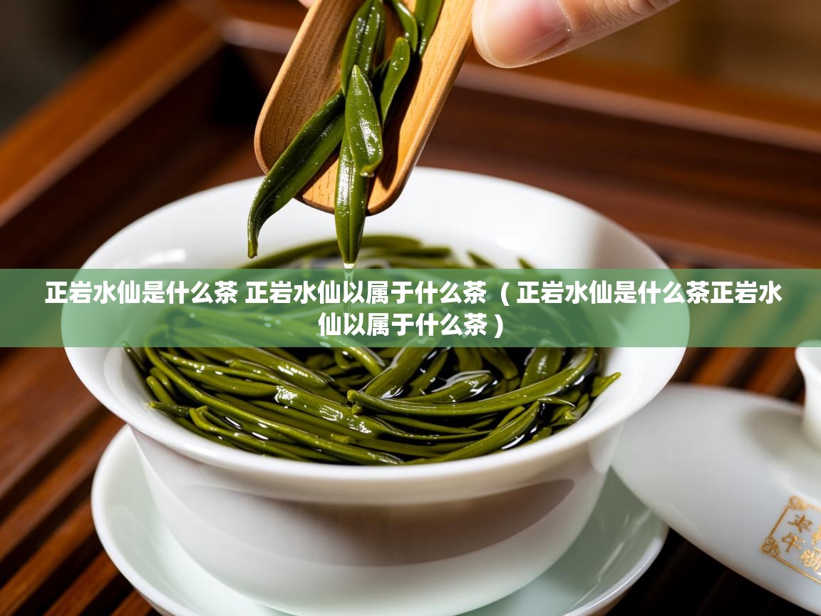  正岩水仙是什么茶 正岩水仙以属于什么茶  ( 正岩水仙是什么茶正岩水仙以属于什么茶 )