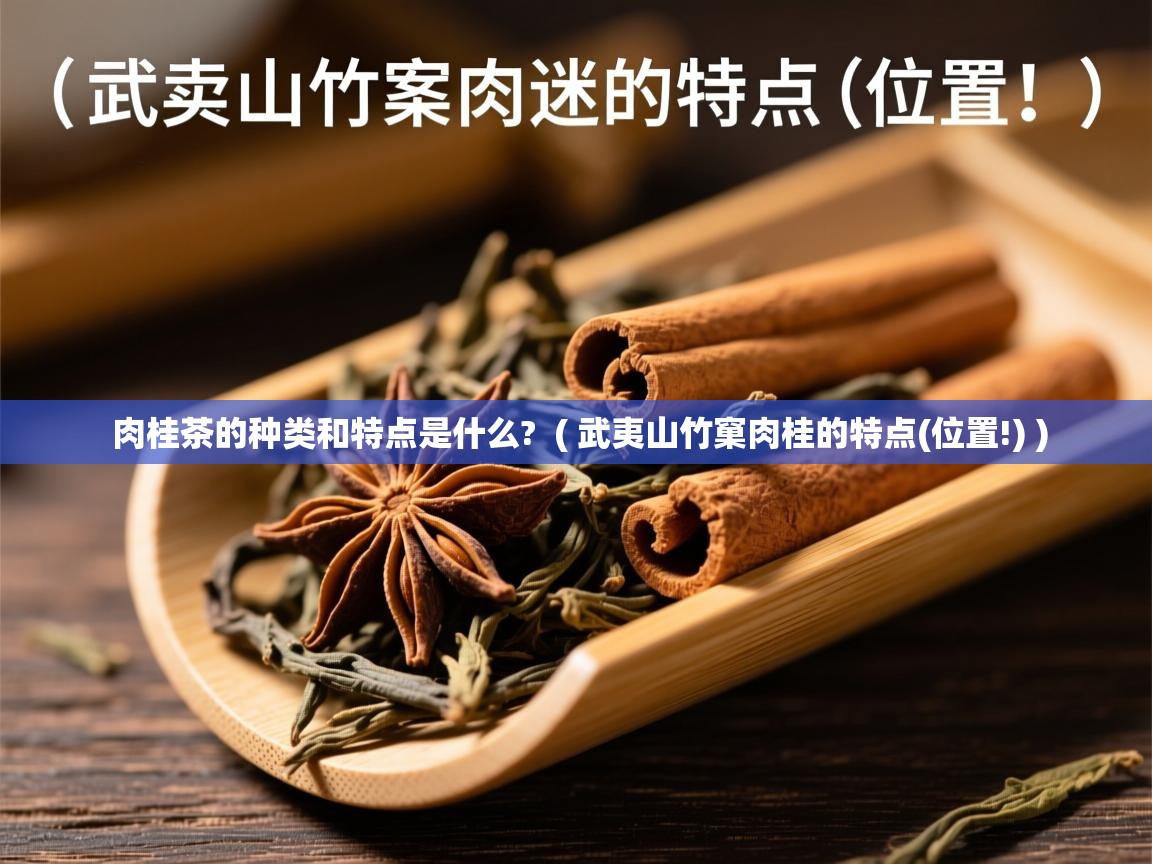  肉桂茶的种类和特点是什么?  ( 武夷山竹窠肉桂的特点(位置!) )
