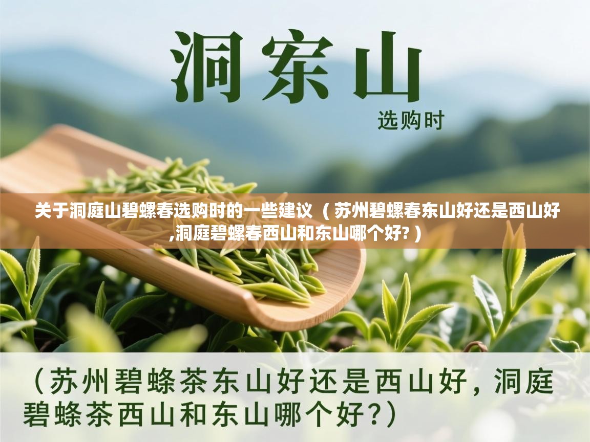  关于洞庭山碧螺春选购时的一些建议  ( 苏州碧螺春东山好还是西山好,洞庭碧螺春西山和东山哪个好? )