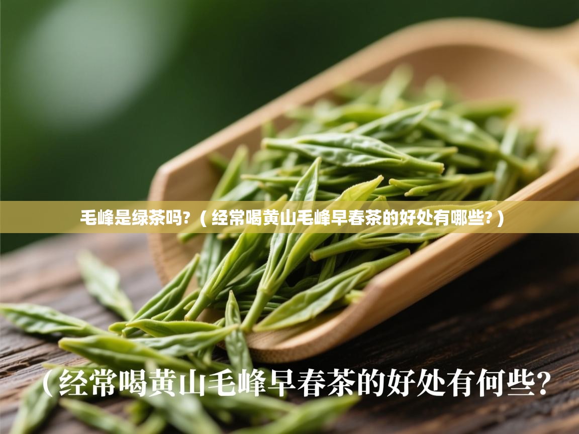  毛峰是绿茶吗?  ( 经常喝黄山毛峰早春茶的好处有哪些? )