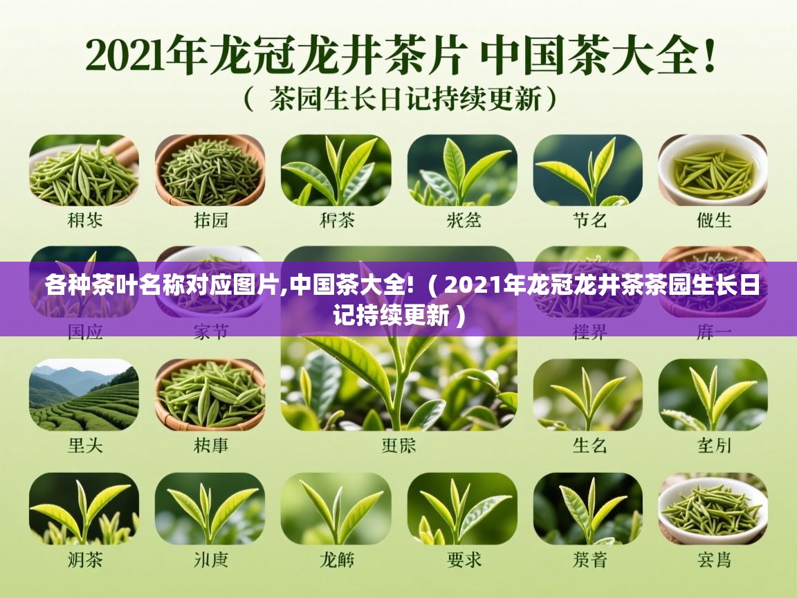  各种茶叶名称对应图片,中国茶大全!  ( 2021年龙冠龙井茶茶园生长日记持续更新 )