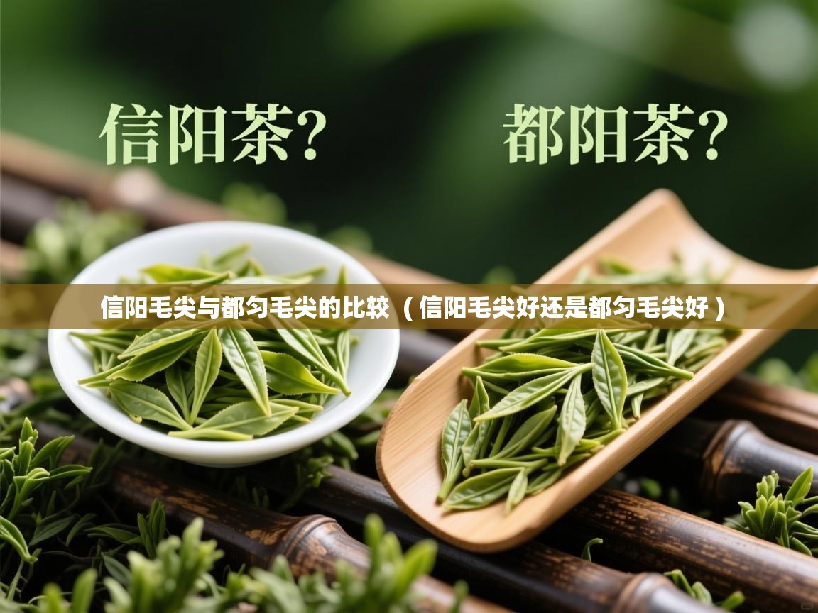  信阳毛尖与都匀毛尖的比较  ( 信阳毛尖好还是都匀毛尖好 )