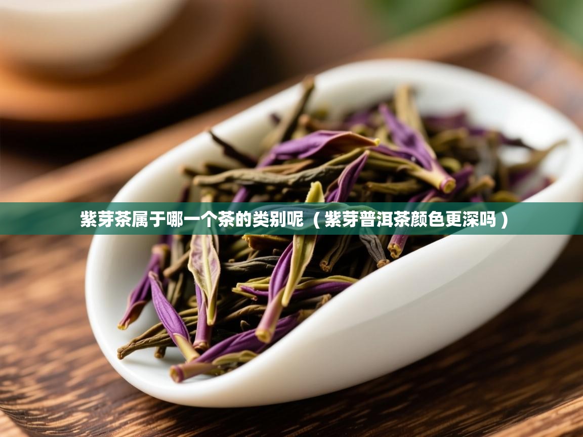  紫芽茶属于哪一个茶的类别呢  ( 紫芽普洱茶颜色更深吗 )