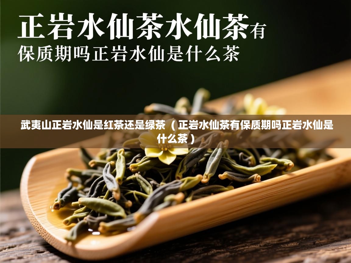  武夷山正岩水仙是红茶还是绿茶  ( 正岩水仙茶有保质期吗正岩水仙是什么茶 )