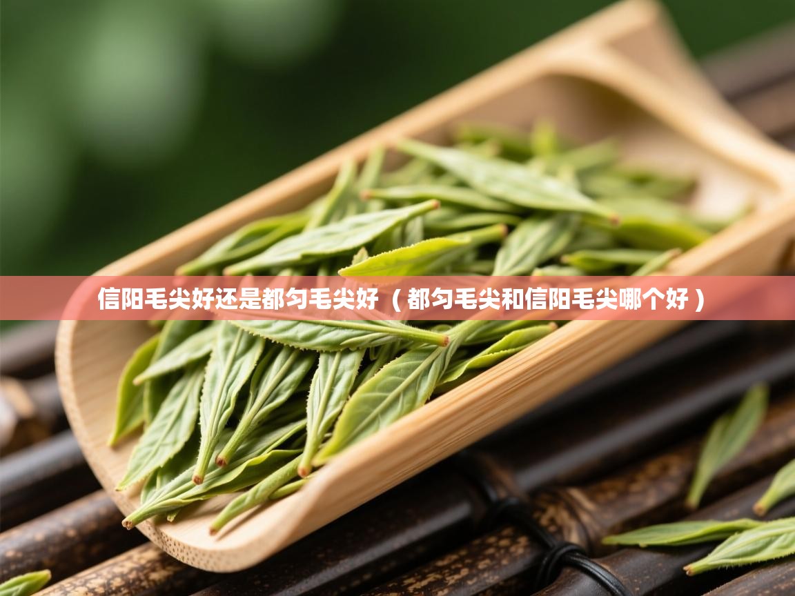  信阳毛尖好还是都匀毛尖好  ( 都匀毛尖和信阳毛尖哪个好 )