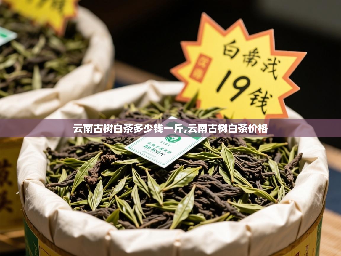  云南古树白茶多少钱一斤,云南古树白茶价格 