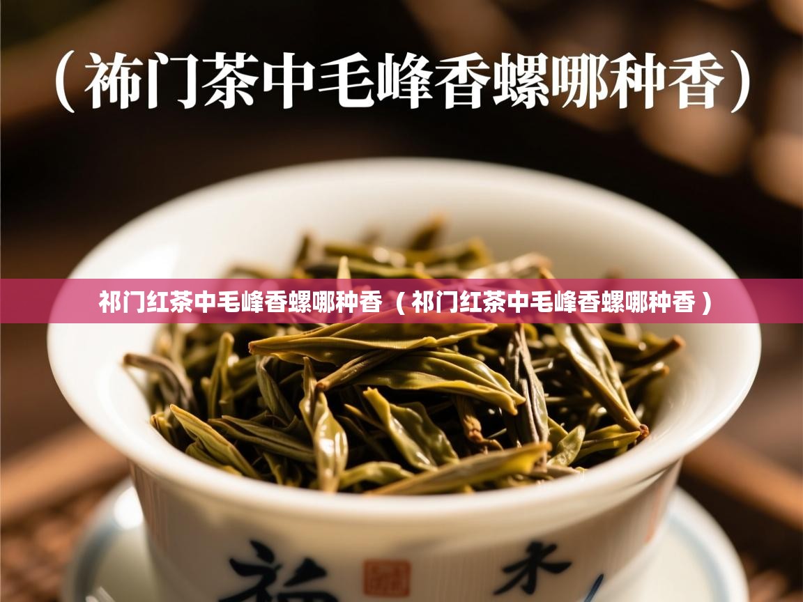  祁门红茶中毛峰香螺哪种香  ( 祁门红茶中毛峰香螺哪种香 )