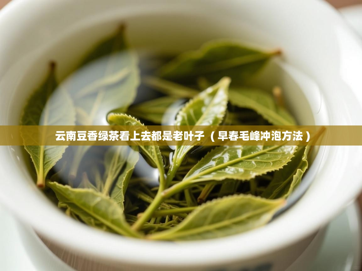  云南豆香绿茶看上去都是老叶子  ( 早春毛峰冲泡方法 )