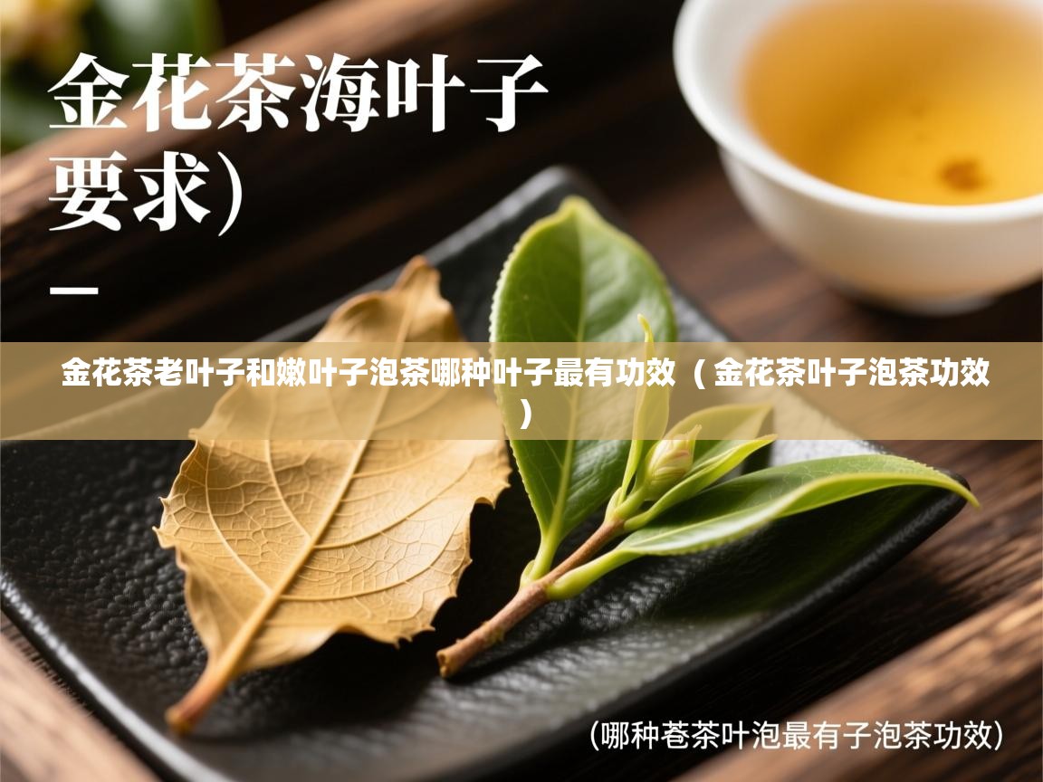  金花茶老叶子和嫩叶子泡茶哪种叶子最有功效  ( 金花茶叶子泡茶功效 )