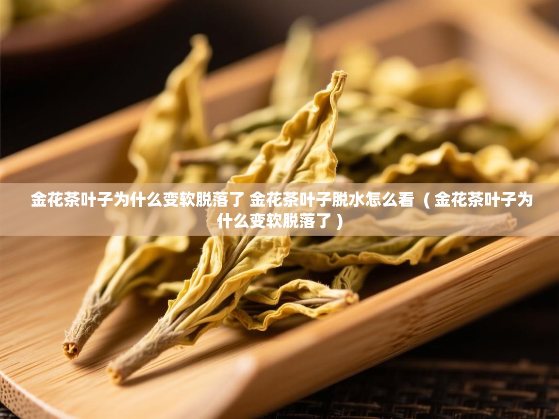  金花茶叶子为什么变软脱落了 金花茶叶子脱水怎么看  ( 金花茶叶子为什么变软脱落了 )