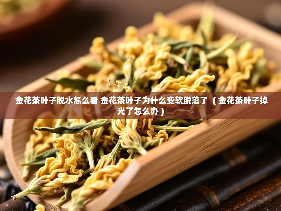  金花茶叶子脱水怎么看 金花茶叶子为什么变软脱落了  ( 金花茶叶子掉光了怎么办 )