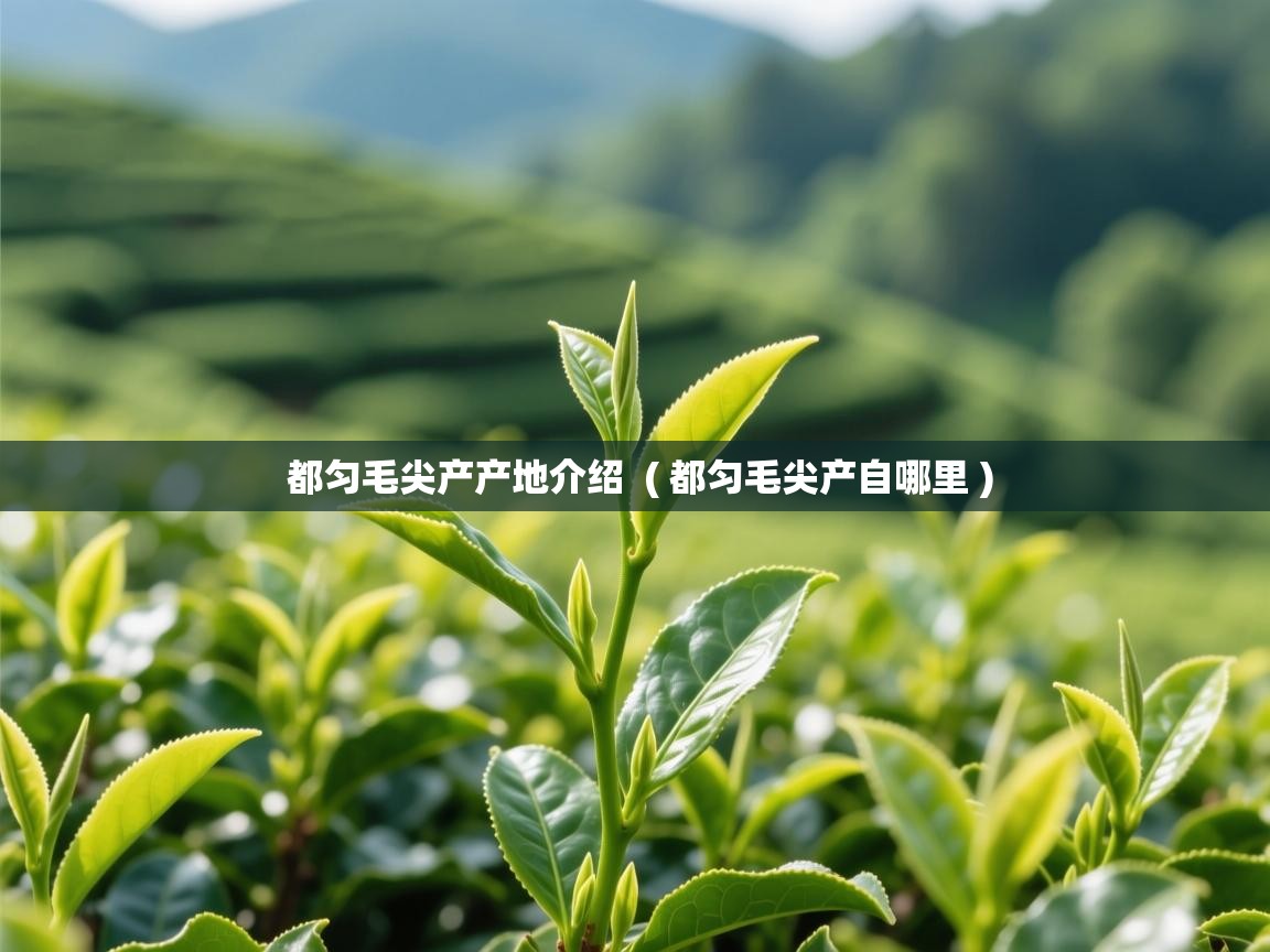  都匀毛尖产产地介绍  ( 都匀毛尖产自哪里 )