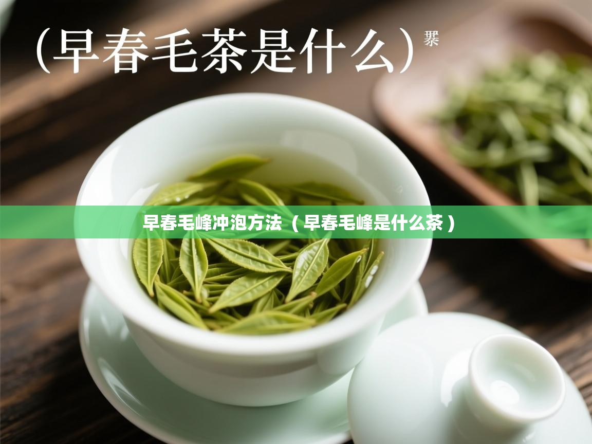  早春毛峰冲泡方法  ( 早春毛峰是什么茶 )