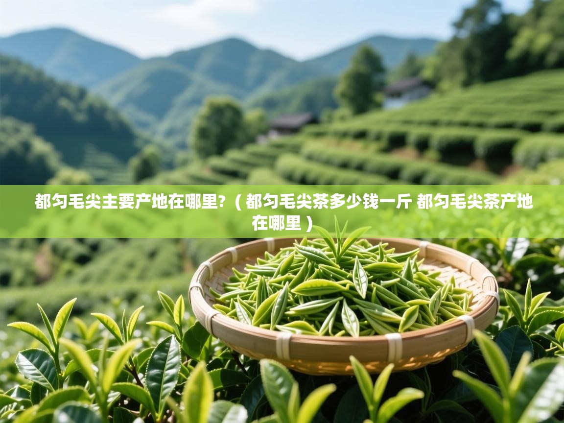 都匀毛尖主要产地在哪里?  ( 都匀毛尖茶多少钱一斤 都匀毛尖茶产地在哪里 )