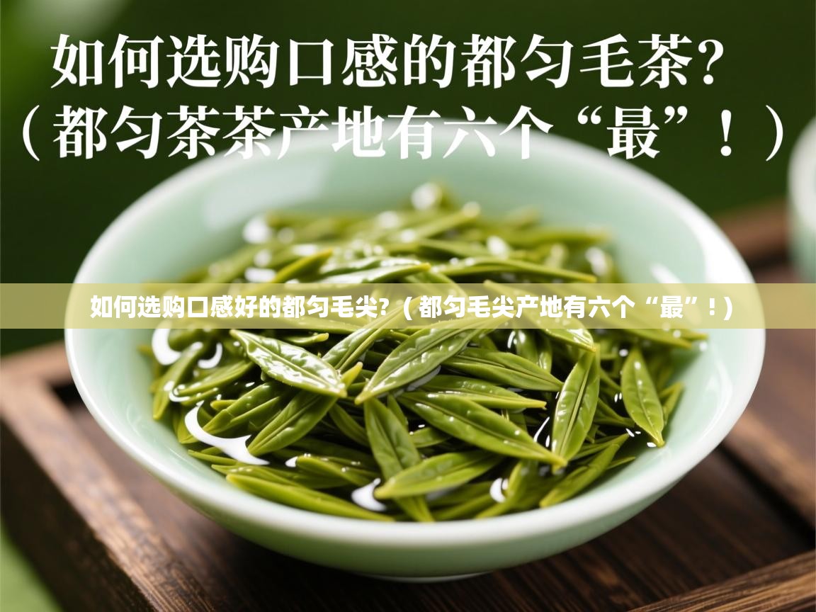  如何选购口感好的都匀毛尖?  ( 都匀毛尖产地有六个“最”! )