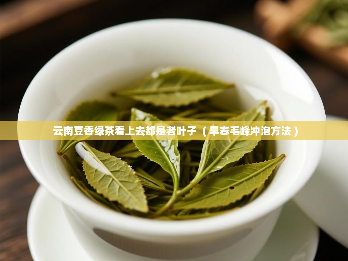  云南豆香绿茶看上去都是老叶子  ( 早春毛峰冲泡方法 )