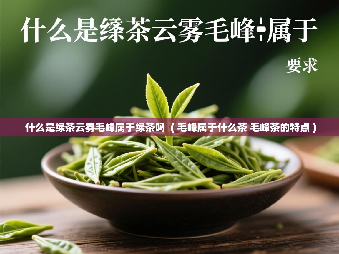  什么是绿茶云雾毛峰属于绿茶吗  ( 毛峰属于什么茶 毛峰茶的特点 )